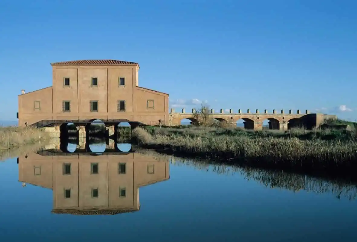 castiglione1