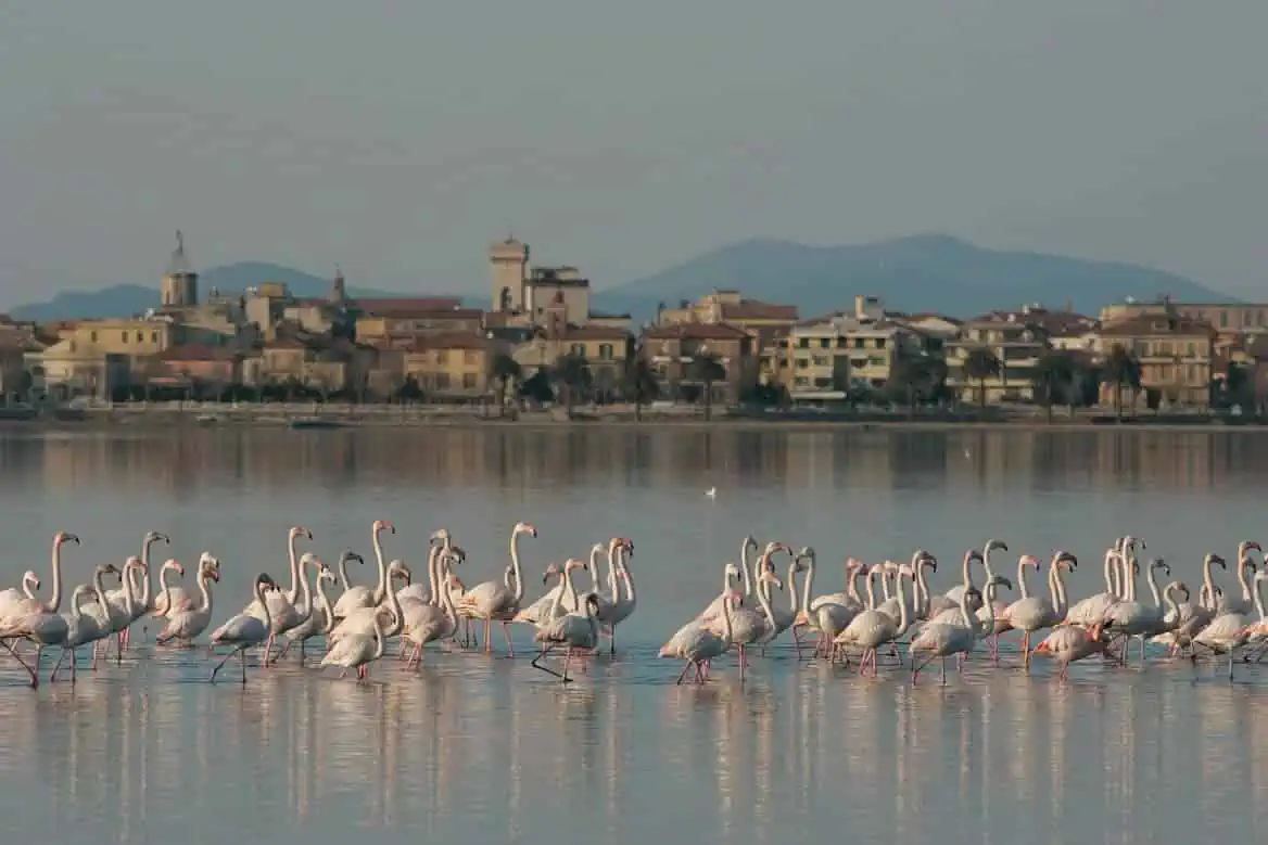orbetello-4 (1)