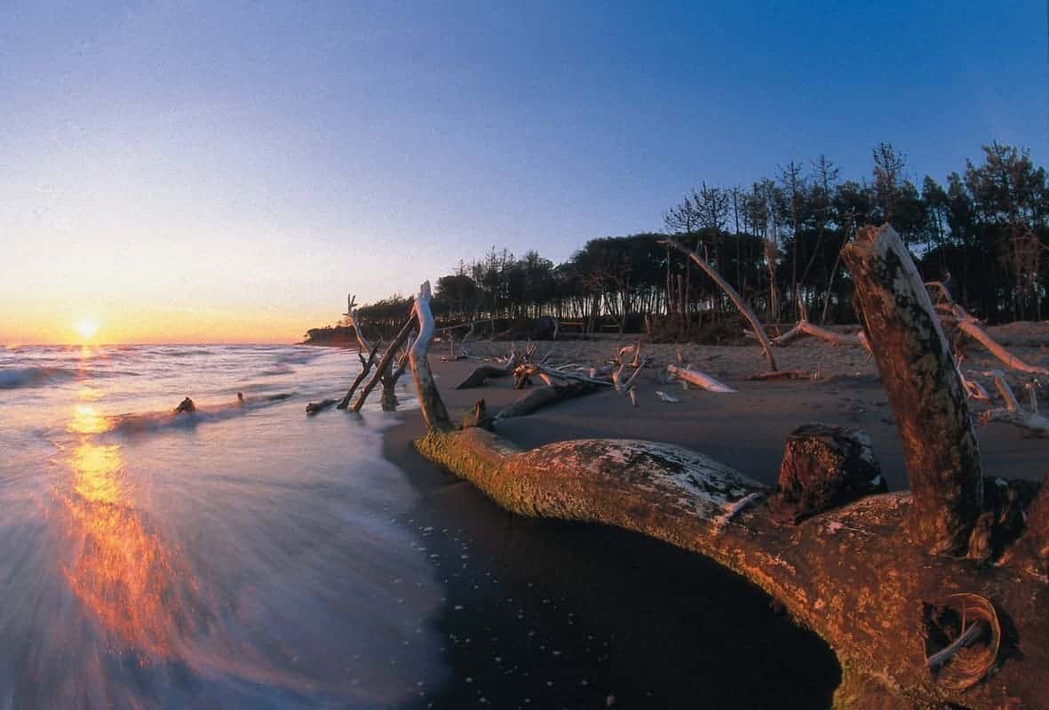 parco-della-maremma