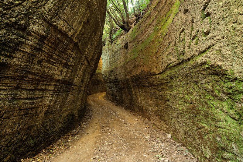 vie-cave-1 (1)