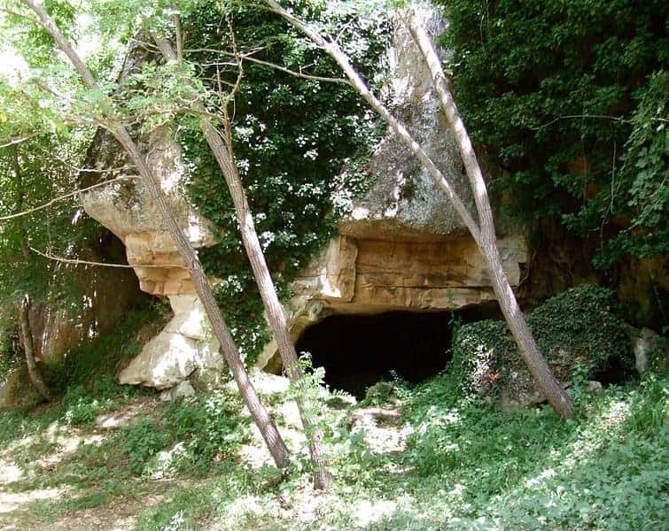 vitozza1
